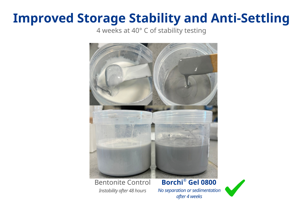 ASE thickener for improved storage stability and anti settling in waterborne coatings
