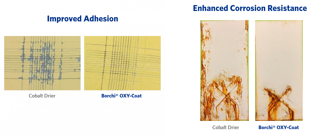 additives for paints and coatings that provide enhanced wet adhesion and corrosion resistance