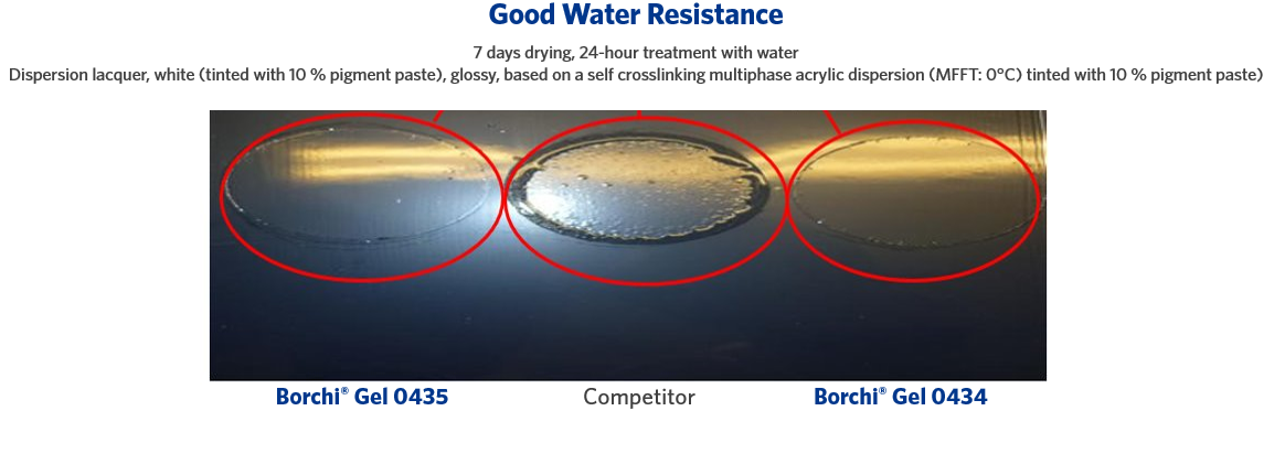 good water resistance Borchi Gel rheology modifiers